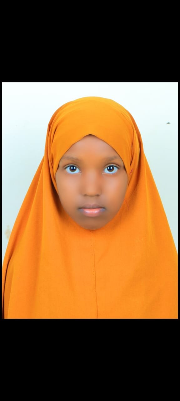 amira ali ilmi